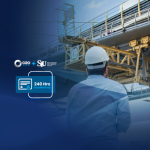 Análisis y Diseño de Puentes