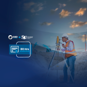 Gestión, Mejoramiento y Conservación Vial por Niveles de Servicio