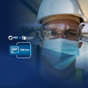 Seguridad, Salud Ocupacional Y Medio Ambiente (SSOMA) En Minería