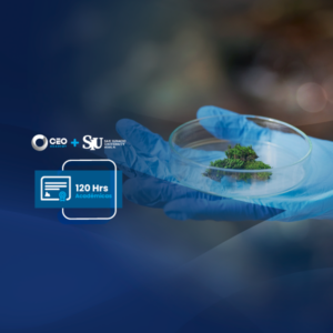 Estudio de Impacto Ambiental con Enfoque  Sector Transporte