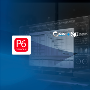 Primavera P6 - Aplicado a Proyectos Mineros