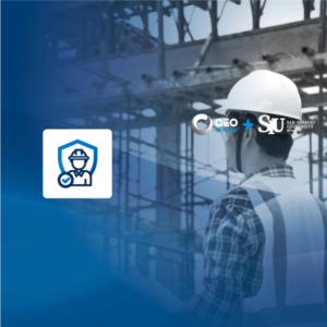 Supervisor de Seguridad y Salud en el Trabajo (SST)