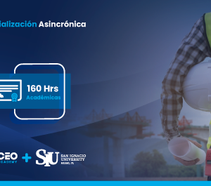 Análisis, Diseño y Modelamiento de Puentes