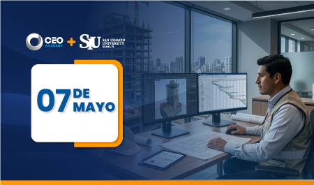 Delphin Express para Presupuestos, Programación y Modelos BIM 5D