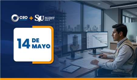 Delphin Express para Presupuestos, Programación y Modelos BIM 5D